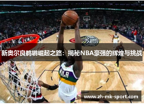 新奥尔良鹈鹕崛起之路：揭秘NBA豪强的辉煌与挑战